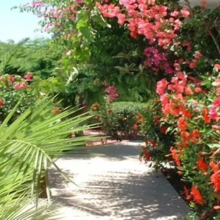 Belvita Hotel Kolymbia