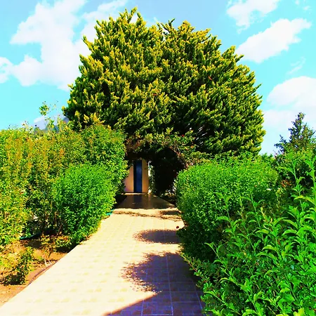 Belvita كولومبيا