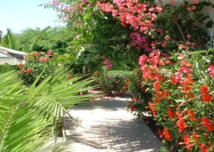 Belvita Hotell Kolymbia